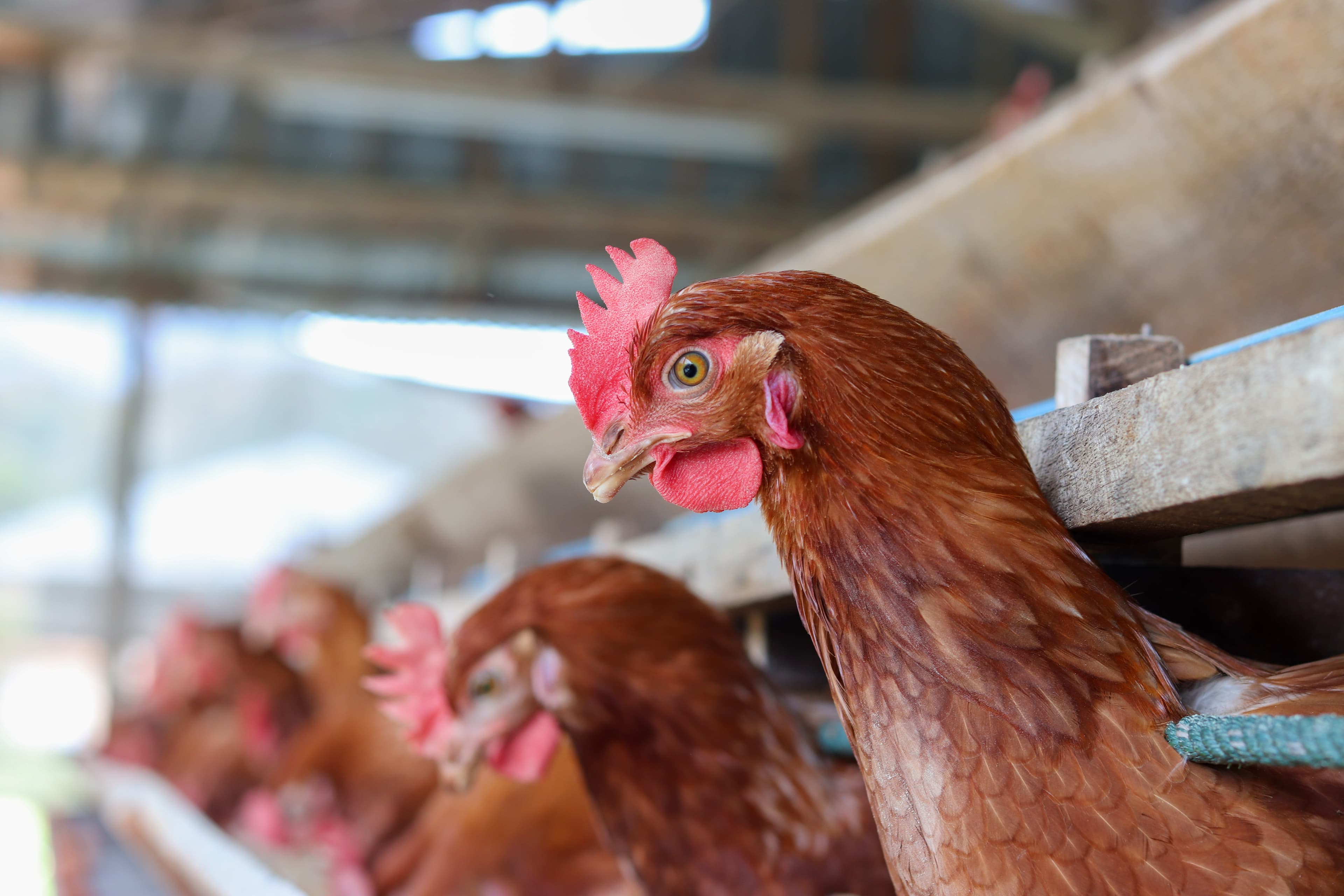 Why We Invested: Flox